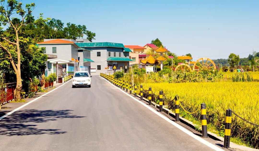 村庄美了村民富了乡风好了四会乡村振兴成果掠影