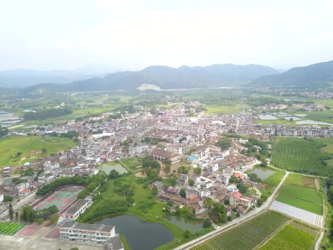 创卫创森成功后四会市地豆镇再奏文明创建进行曲