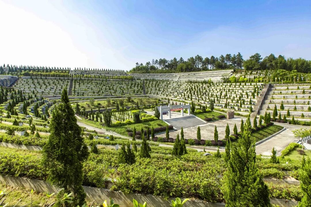 四会红色印记二十一