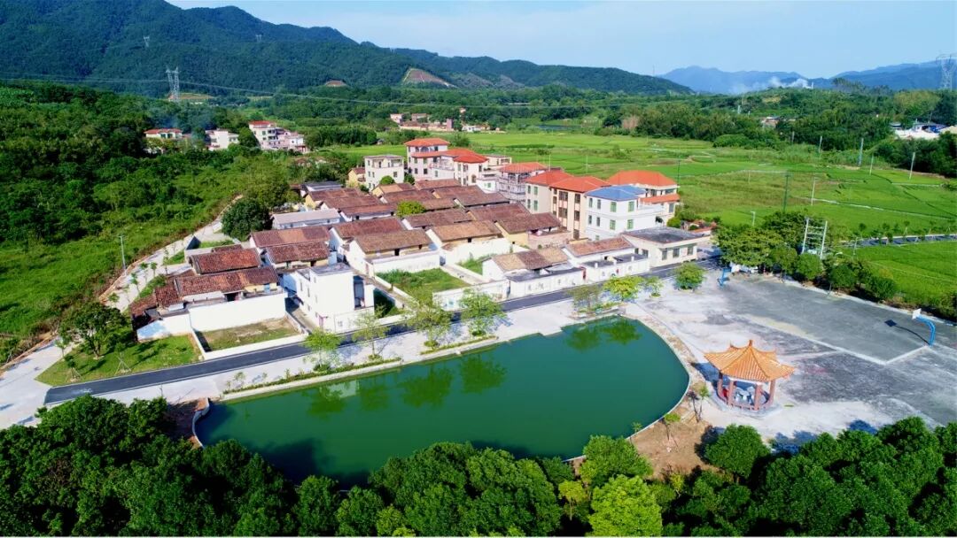 这里是四会市61地豆镇