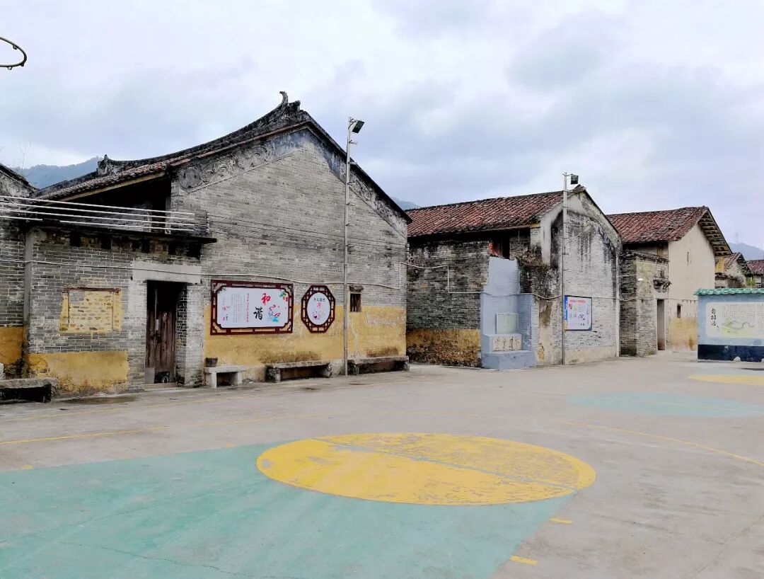 美图直击,带您走进四会美丽新农村!