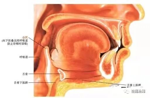 为什么要做吞咽仪器《康复科那些仪器》----“吞咽机”_https://www.jmylbn.com_新闻资讯_第4张