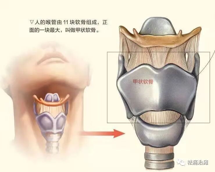 为什么要做吞咽仪器《康复科那些仪器》----“吞咽机”_https://www.jmylbn.com_新闻资讯_第5张