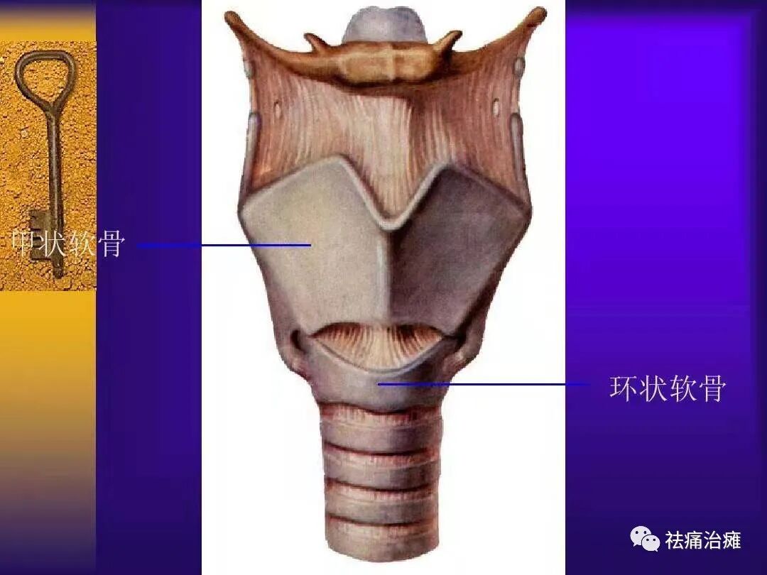 为什么要做吞咽仪器《康复科那些仪器》----“吞咽机”_https://www.jmylbn.com_新闻资讯_第6张