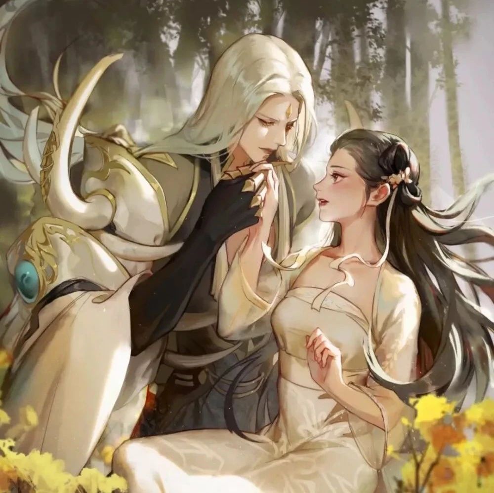 良妃要与皇贵妃争夺皇后之位