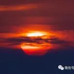 中医曹田梅：新冠初起用方（24小时内最佳）