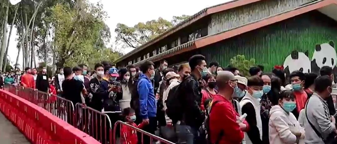 “这真的是广州的新年？”交警紧急提醒，别扑空了！