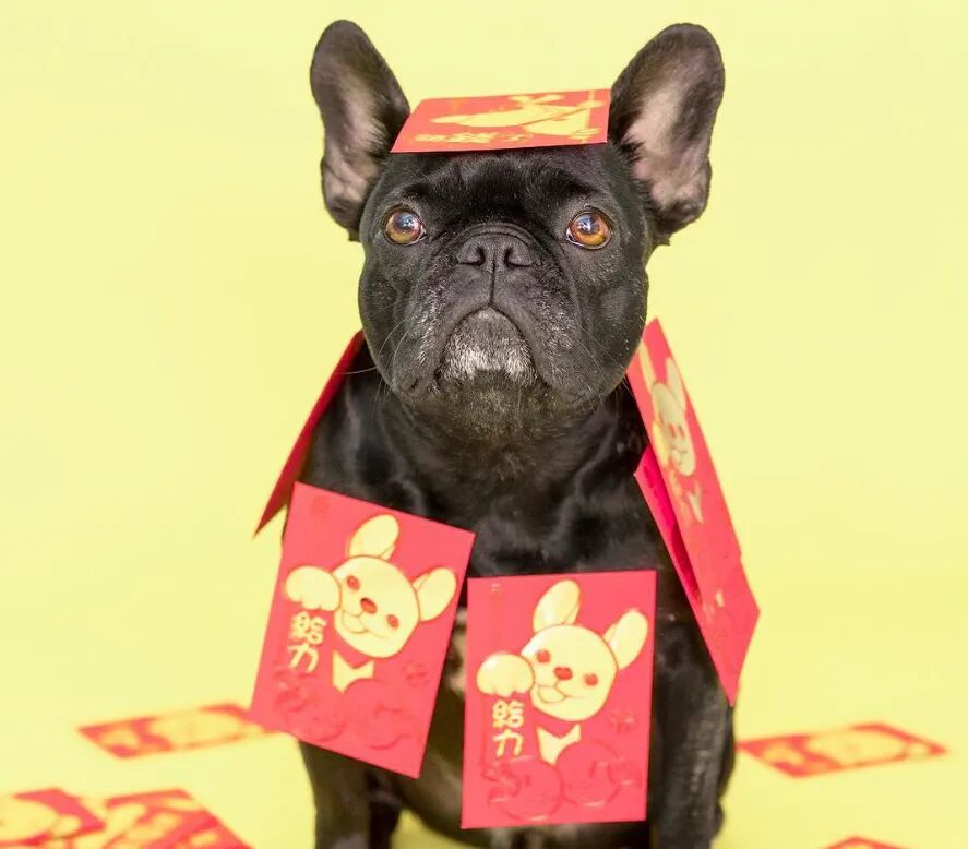 hong-bao-3.jpg 图片