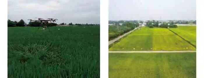 水稻无人机撒肥系统设计与试验的图23