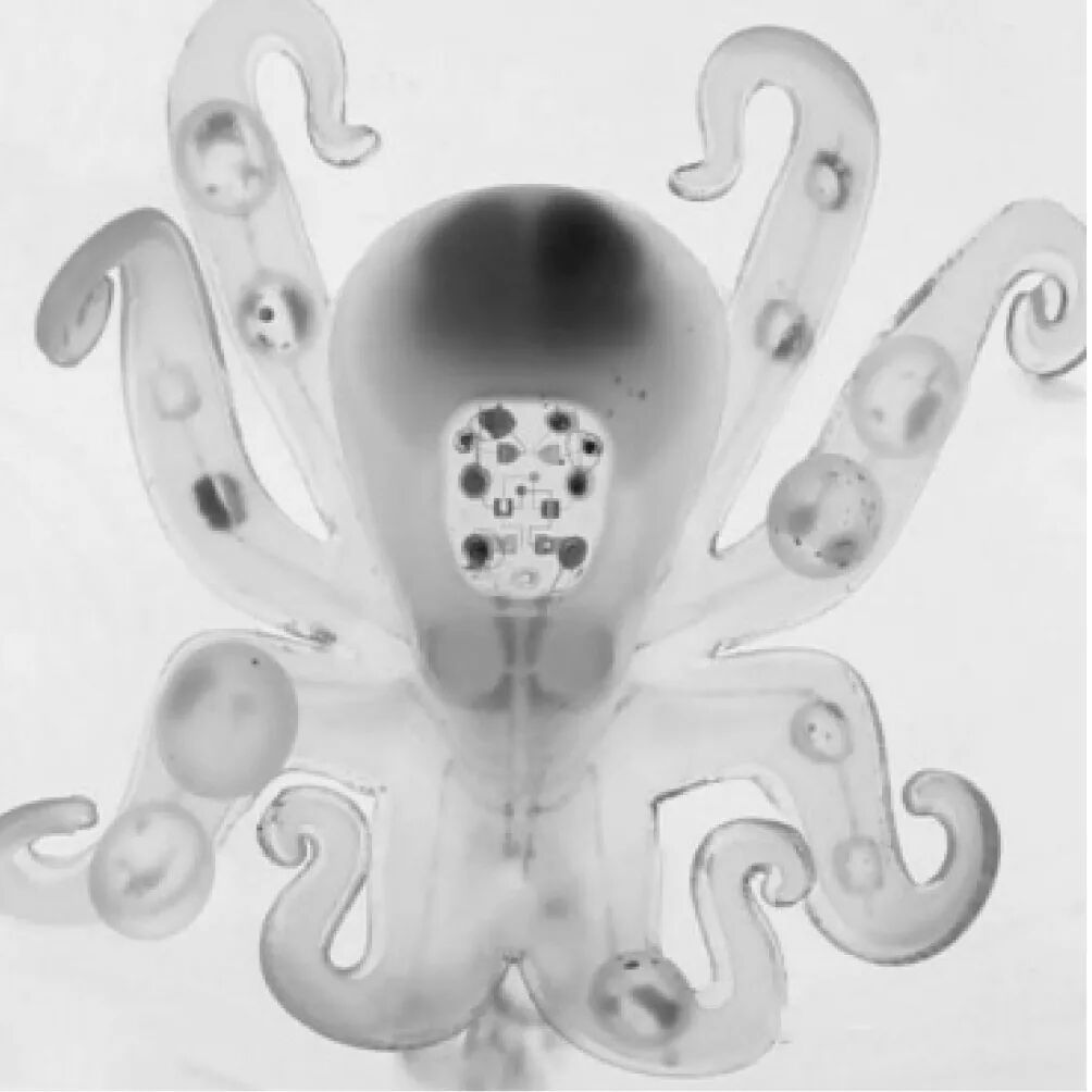 软体机器人研究进展的图12