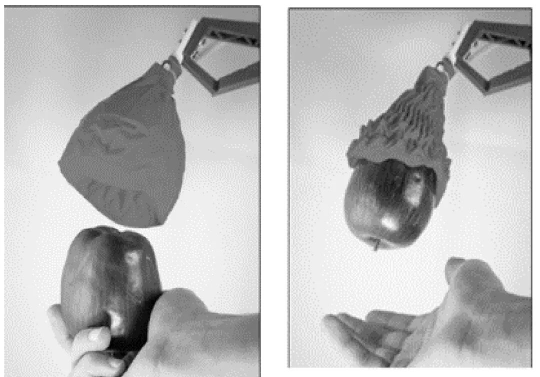 软体机器人研究进展的图10