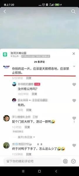 無人機偷窺白天鵝隱私，飛手被警方約談的圖2