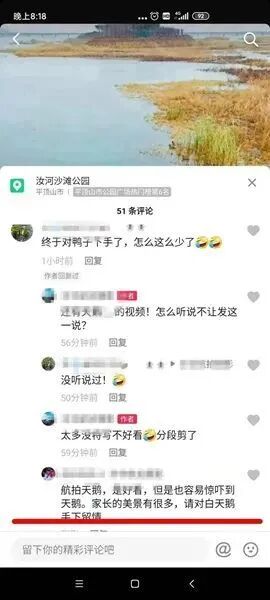 無人機偷窺白天鵝隱私，飛手被警方約談的圖3
