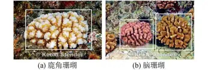无人水面艇感知技术发展综述的图6