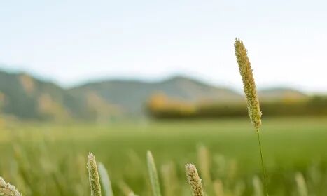 自媒体的收益模式