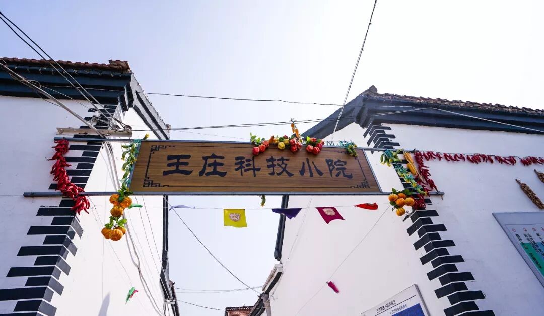 不忘初心！这些年轻人，造就了农业科技的“两弹一星”