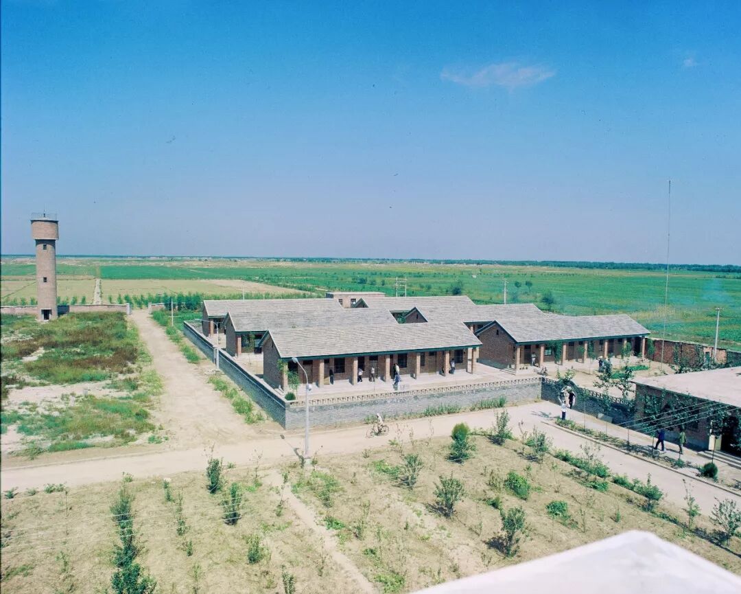 不忘初心！这些年轻人，造就了农业科技的“两弹一星”