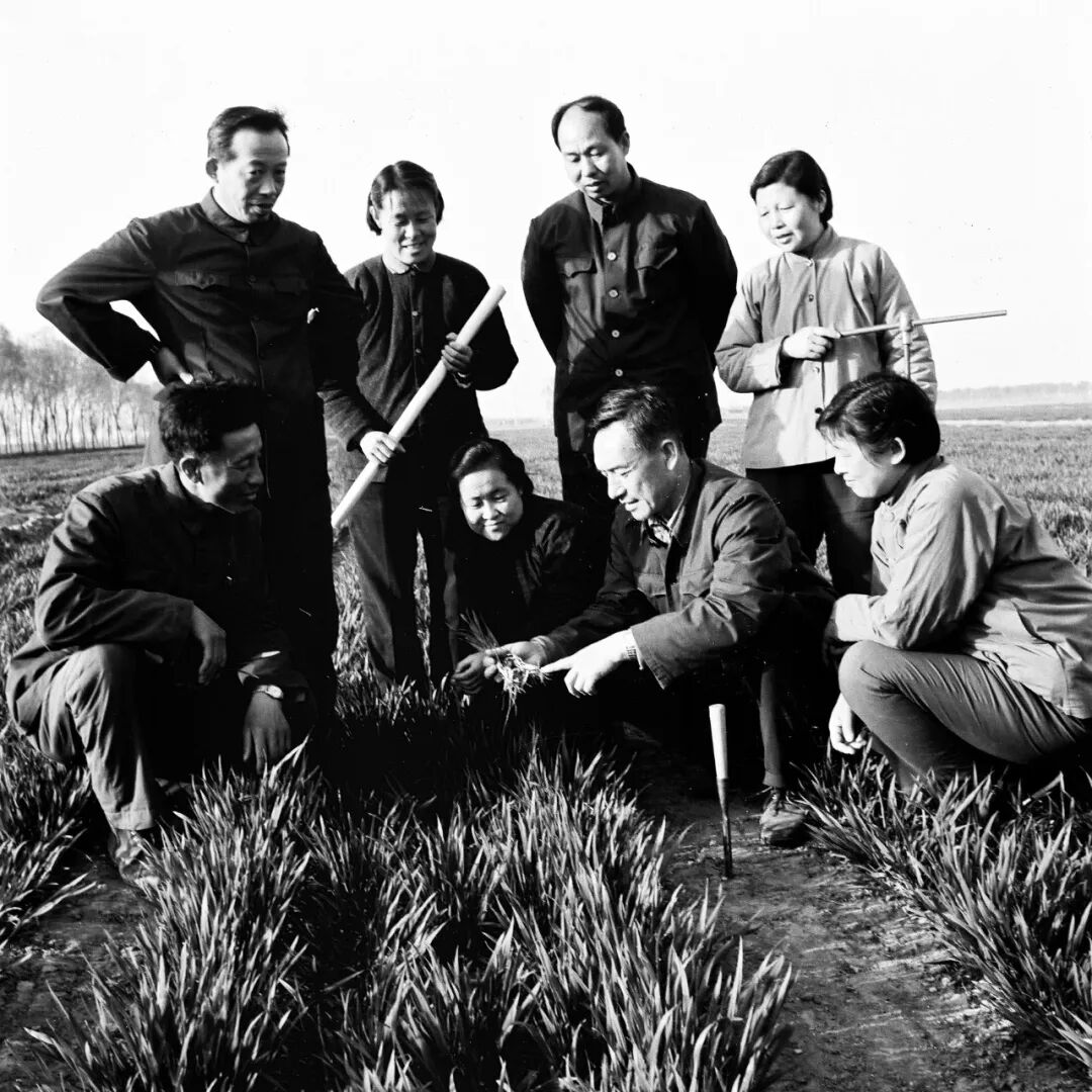 不忘初心！这些年轻人，造就了农业科技的“两弹一星”