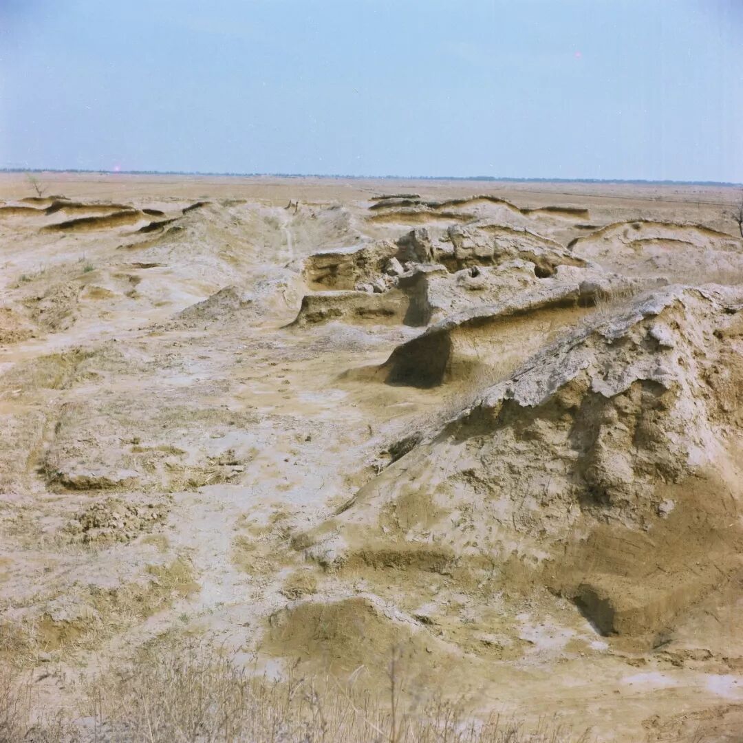 不忘初心！这些年轻人，造就了农业科技的“两弹一星”