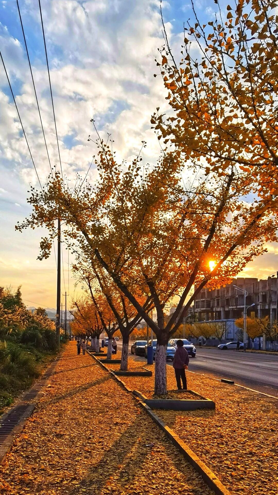 5.鄢安文  工业园区大道.jpg