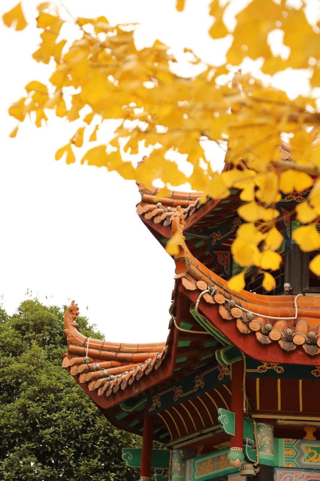 7.宋荣洲 杏簪飞甍 渡江广场.JPG