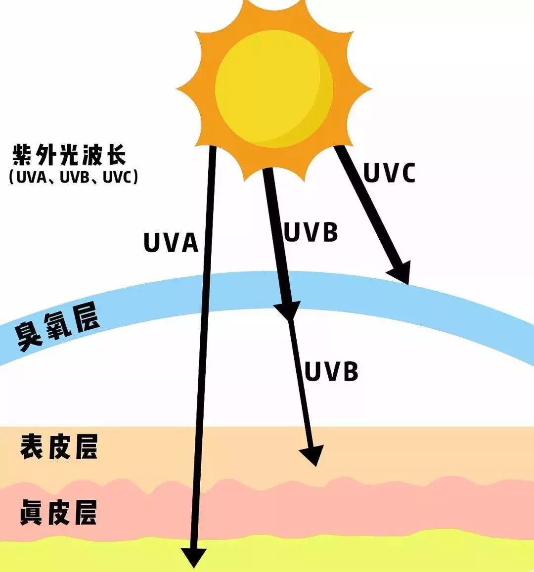 每天都在抗晒，为什么你还是变黑了？-[comfort zone]舒适地带