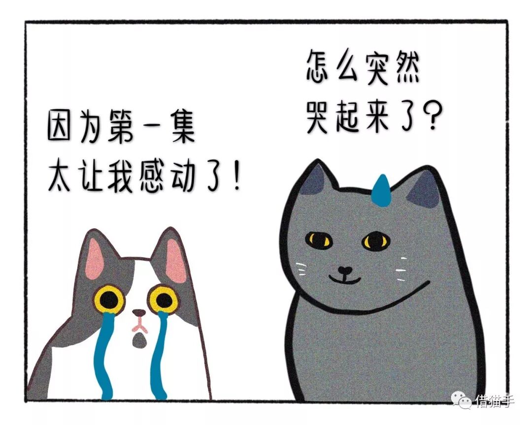 猫事儿 不是我养猫 更像是猫陪我 借猫手 微信公众号文章阅读 Wemp