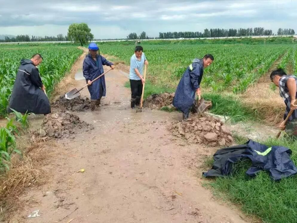 微信图片_20260709091125_3352_29