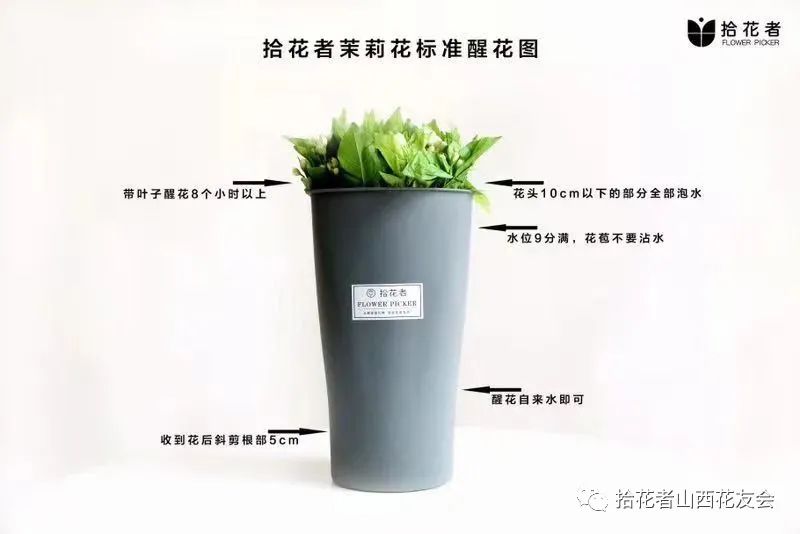 鲜花养护方法_鲜花养护_玫瑰鲜花养护