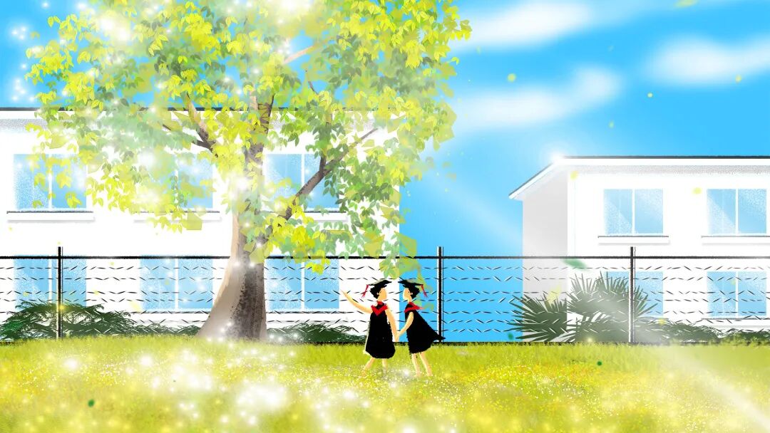 浙江招生管理服务平台_浙江省高校招生信息管理系统_浙江高校招生办公室