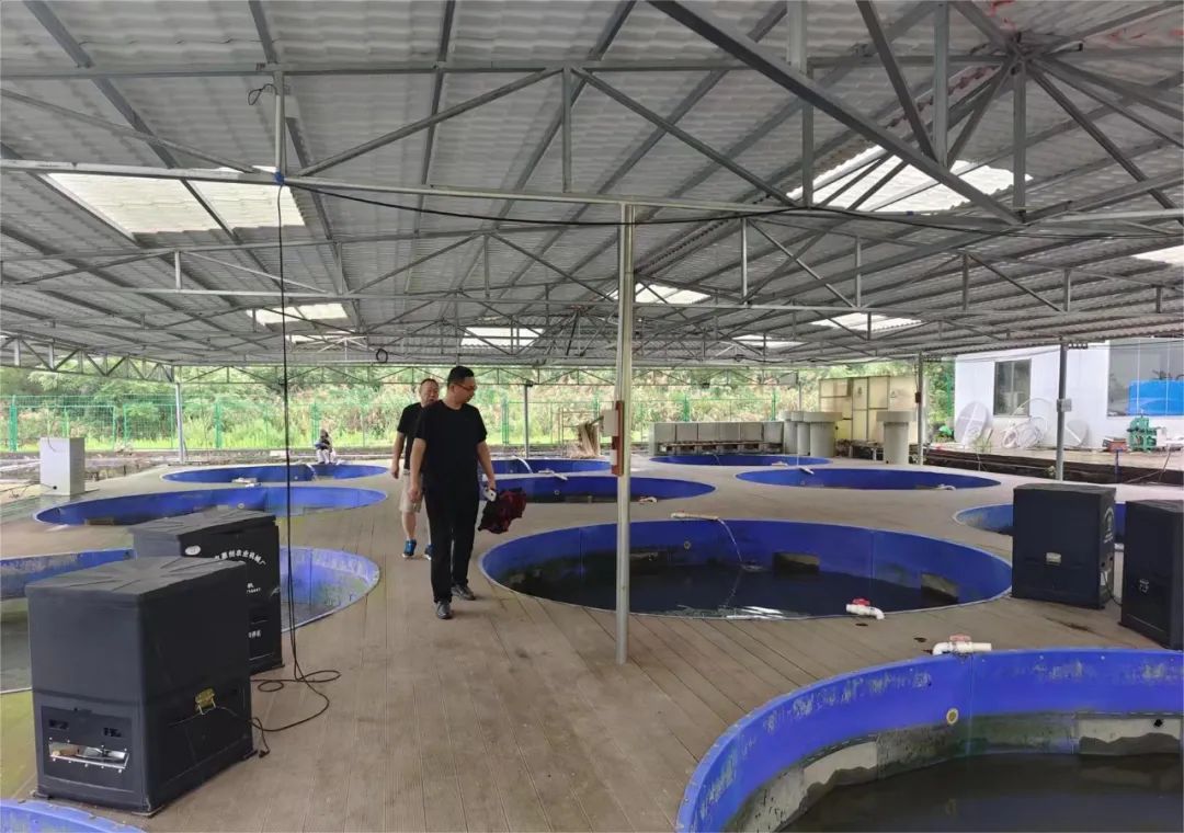 韶关市渔业技术推广站是浈江区现有的1家省级水产良种场,位于新韶镇