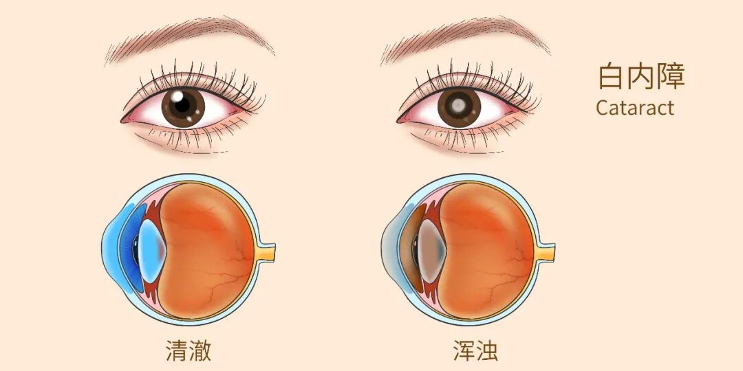 pexels-640 (2)-2.jpg