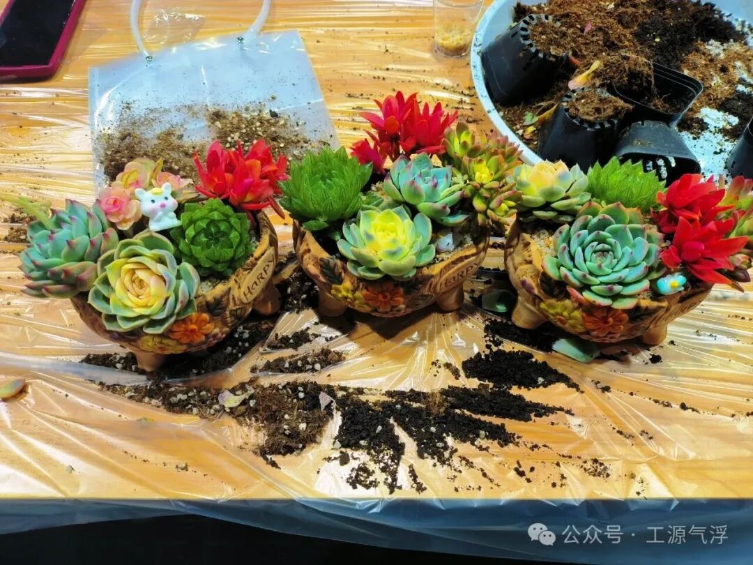 春天和你们，都是最美的风景！