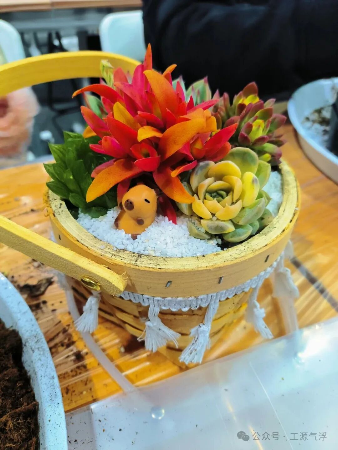 春天和你们，都是最美的风景！