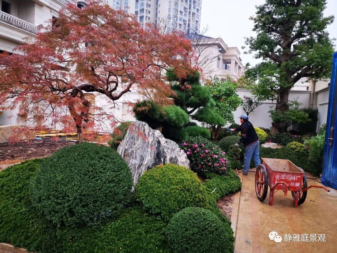 静雅庭景观 首席设计团队游学考察浙江行 浙派园林植物造景