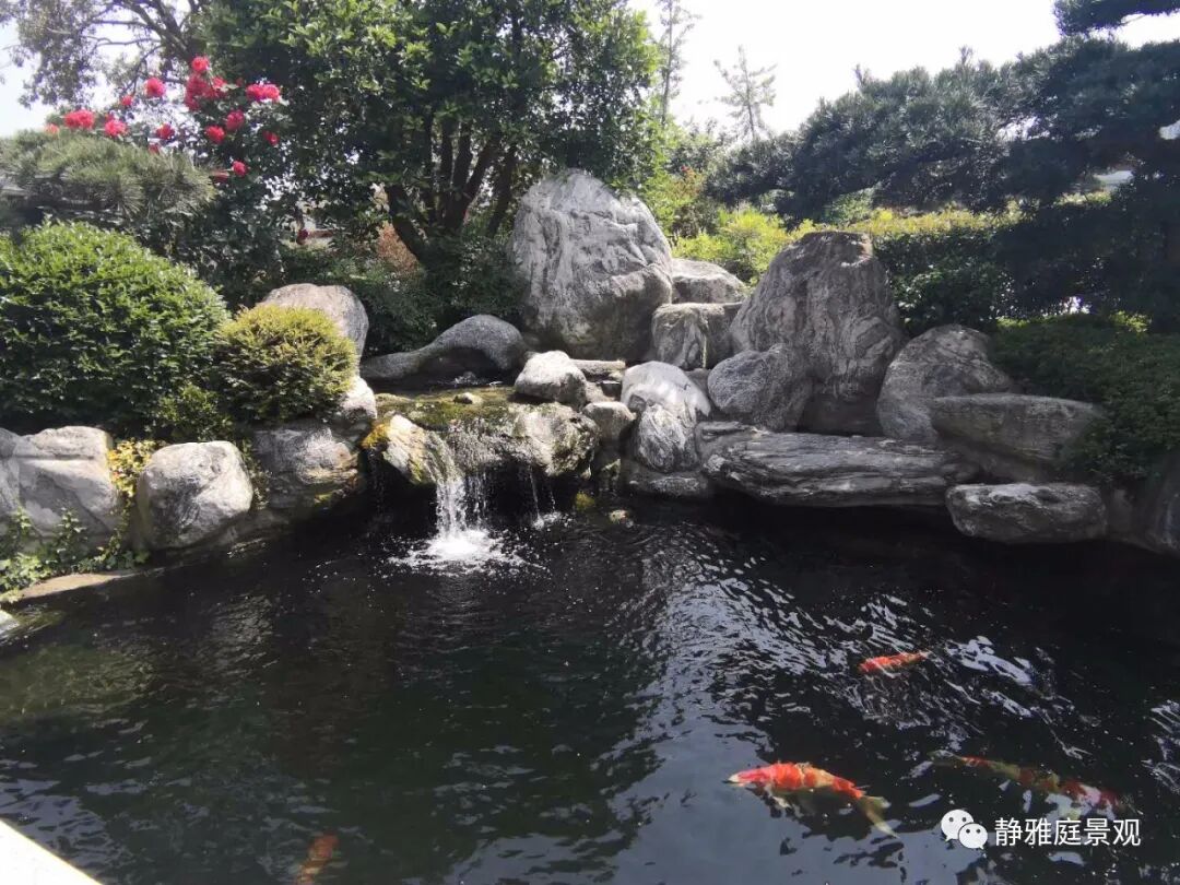 静雅庭景观 首席设计团队游学考察浙江行 浙派园林植物造景