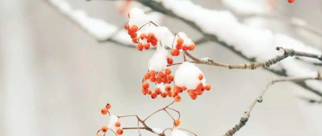 手脚冰凉当心是这些病“来袭”！ 天冷了，改善手脚冰凉请用这几招！