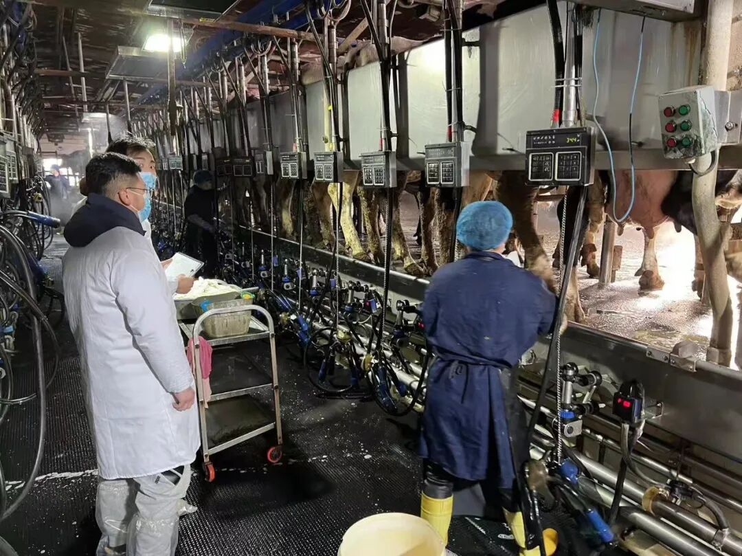 吴忠市借助得天独厚的区位优势,培育引进了伊利,新希望,雪泉等10家乳