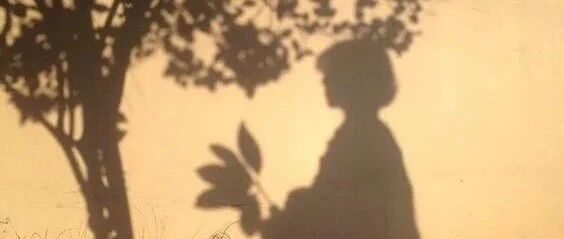 离开职场后，他们逃离“内卷”了吗？