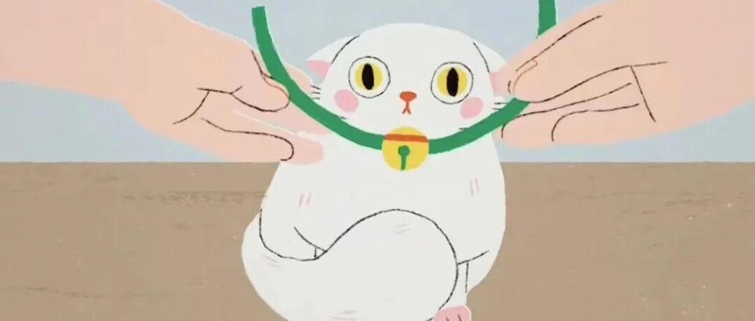 是猫陪伴人，还是人陪伴猫