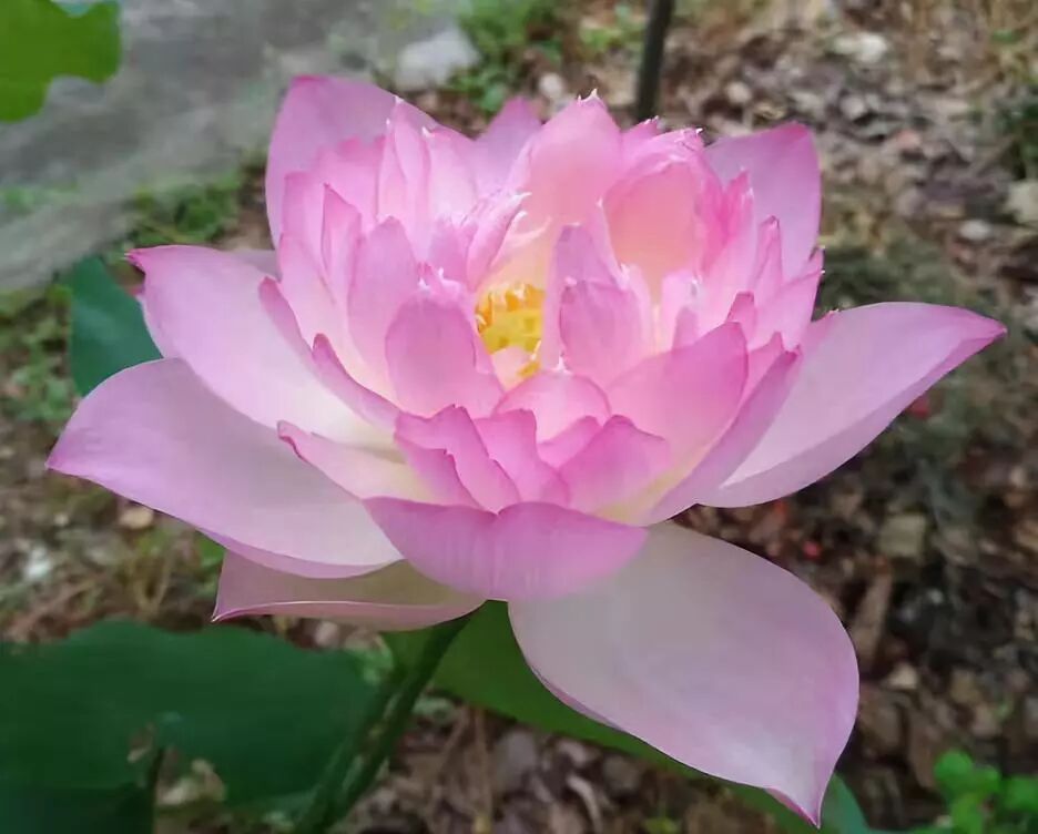 好文案能帮助你实现什么 之四 文案班学员学习前后的一些变化 江水平文案训练营 微信公众号文章阅读 Wemp