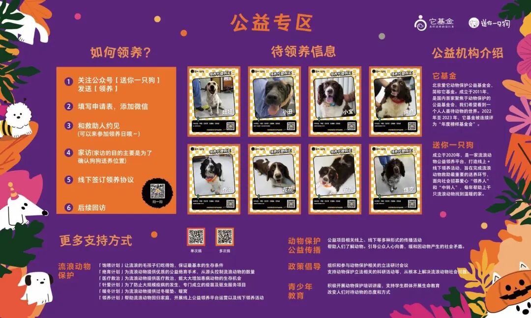 奇妙精灵怎么用来阿那亚·金山岭，与100只“小狗鬼”共度山谷精灵奇妙之旅_https://www.jmylbn.com_新闻资讯_第17张