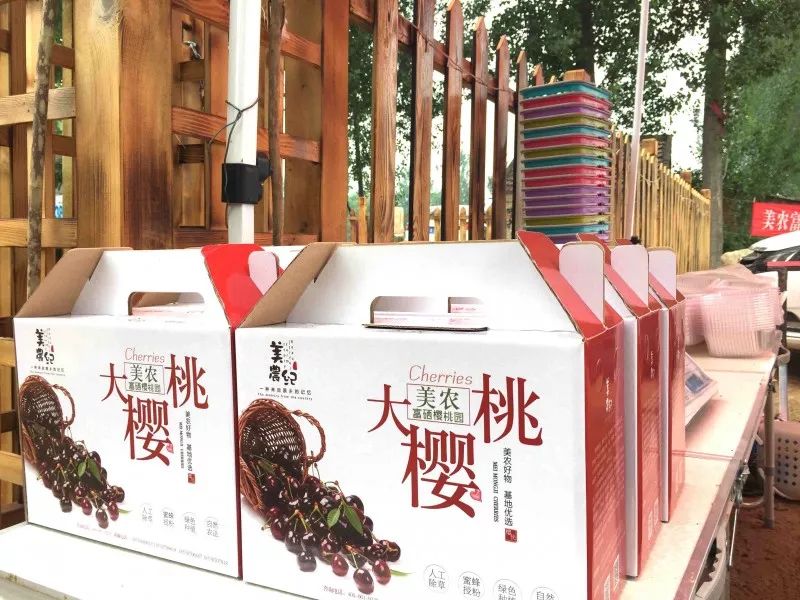 樱桃红了 再不来就没了！