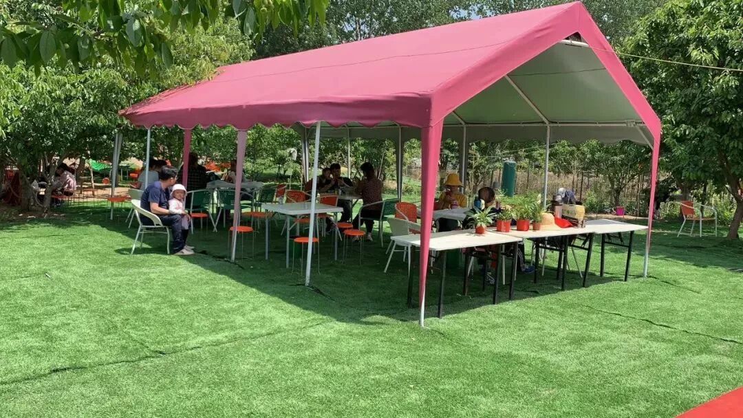 樱桃红了 再不来就没了！