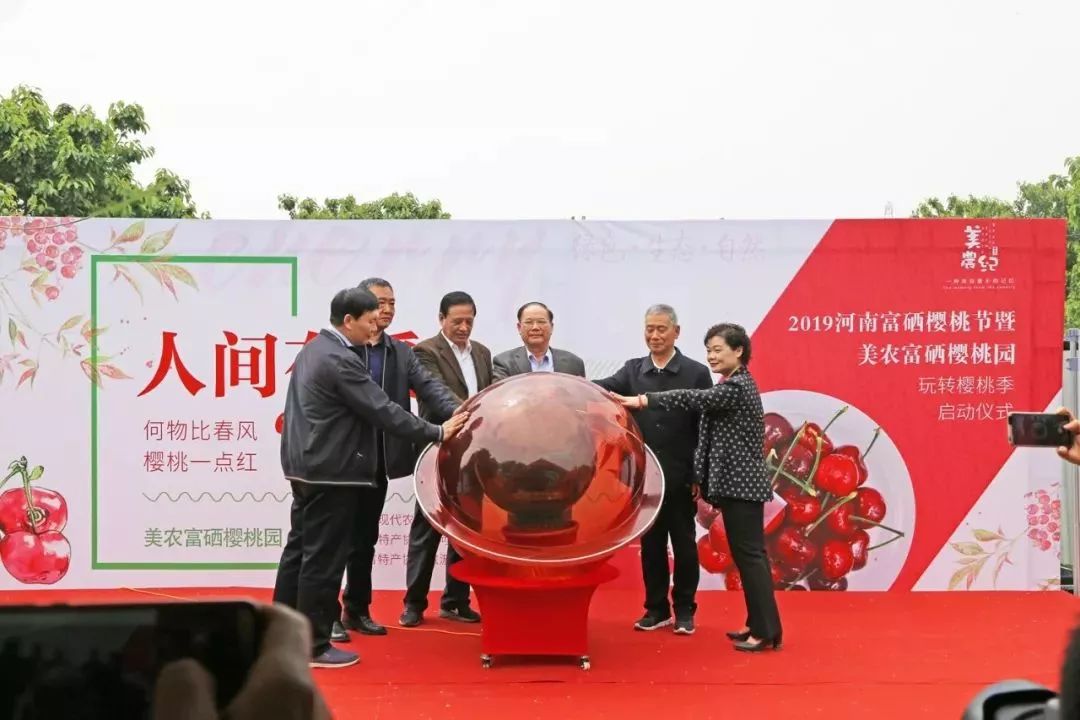樱桃红了 再不来就没了！