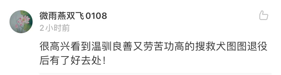 那隻被拼盡全力救人的大金毛搜救犬終於退役了，為了帶它回家，這個等了整整6年…… 寵物 第8張