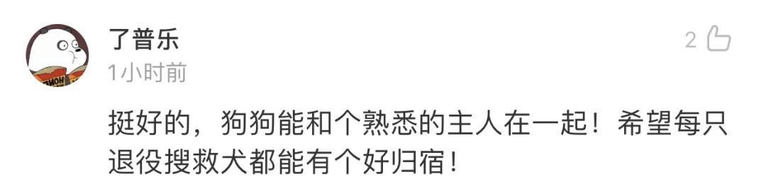 那隻被拼盡全力救人的大金毛搜救犬終於退役了，為了帶它回家，這個等了整整6年…… 寵物 第10張