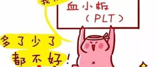 你知道吗？血小板减少，可能是脾脏“扣押”！