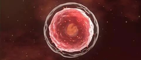 除了治疗，原来“吃”这些也可以提升血小板！