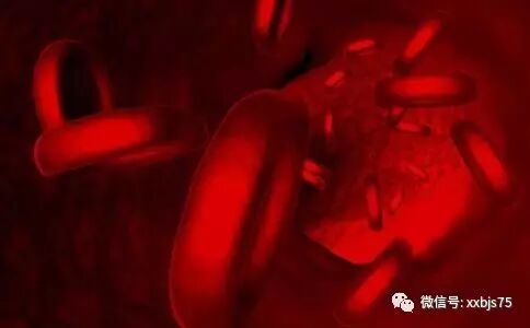 如何預防血小板減少性紫癜？需做好這幾點！ 健康 第4張